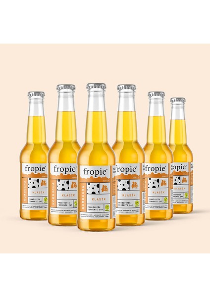 Klasik Probiyotik Kombucha - 250 ml - 6 adet