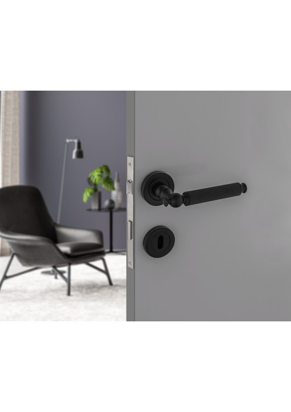 Hanedan Mat Siyah Rozetli Wc Banyo Kapı Kolu 1 Takım fiyatları