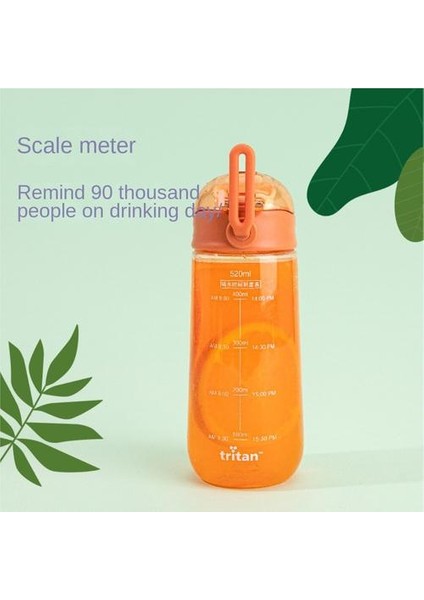 520ML Kızlar Için Suluk (Yurt Dışından) fırsatları