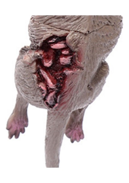 Cadılar Bayramı Dekorasyonları Korkunç Komik Görüntü Yaratıcı Cadılar Bayramı Setleri (Yurt Dışından) modelleri