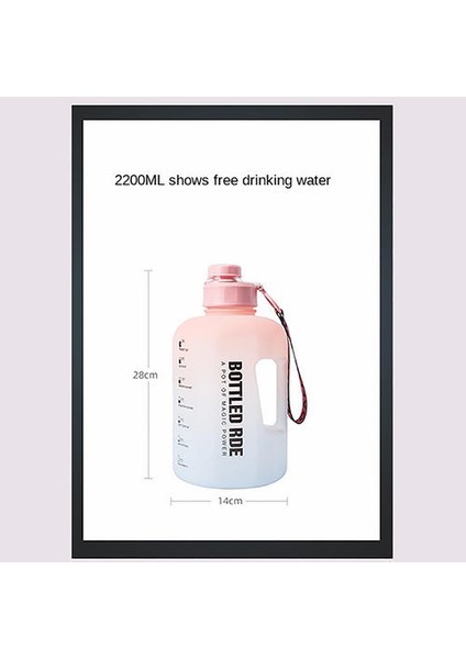 Gradyan Su Şişesi (Yurt Dışından) fiyatları