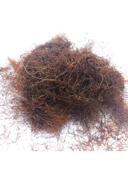 Mısır Püskülü 250 gr fiyatları