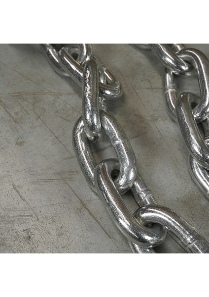 LP8089-20 Halter Zinciri 2x20 Kg
