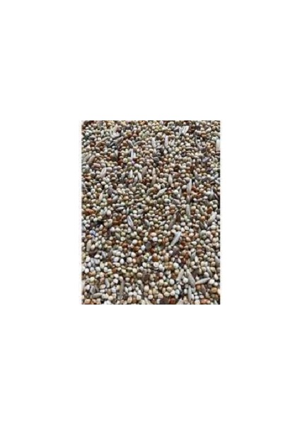 Açık Muhabbet Kuşu Yemi 1 kg