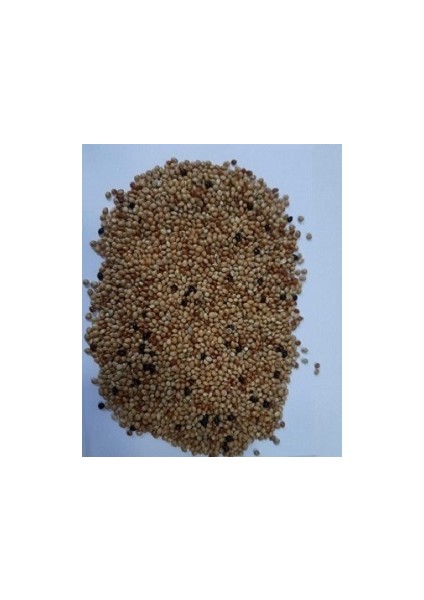 Açık Muhabbet Kuşu Yemi 1 kg fiyatları