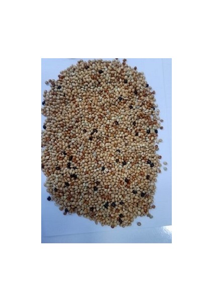 Açık Muhabbet Kuşu Yemi 1 kg fırsatları