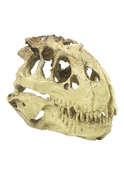 Tyrannosaurus Rex Kafatası Mağı Peyzaj Dekorasyon Balık Tankı Reçine Dinozor Kafatası Modeli Süslemeleri Ev Dekor | Süslemeleri fiyatları