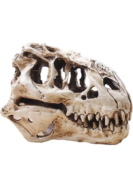 Dinozor Tyrannosaur Skull T Rex Kafatası Hediyeler Gerçekçi Reçine El Sanatları Dinozor Kafatası Fosil Öğretim Iskelet Modeli Ev Dekor | Akvaryumlar ve tanklar