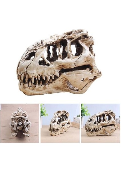 Dinozor Tyrannosaur Skull T Rex Kafatası Hediyeler Gerçekçi Reçine El Sanatları Dinozor Kafatası Fosil Öğretim Iskelet Modeli Ev Dekor | Akvaryumlar ve tanklar