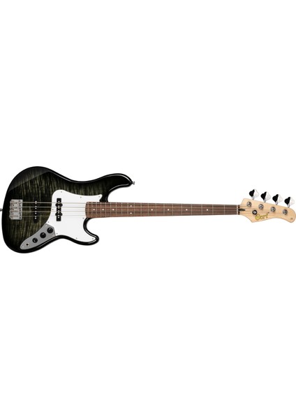 Bas Gitar Trans Black