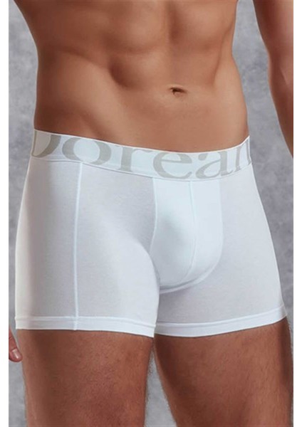 Erkek Modal Normal Paça Boxer 1777P