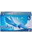 Has - Pet 10'lu Mavi Nitril Eldiven L 1