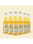 Limon & Zencefilli Probiyotik Kombucha - 250 ml - 6 adet 1