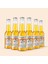 Klasik Probiyotik Kombucha - 250 ml - 6 adet 1