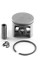 PS4600-PS460-PS461 Piston Takım 43 mm 1