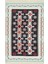 Arya Ar 32 Red Kilim 2