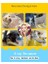 Köpek Oyuncakları Bite Dayanıklı Köpek Topu Sızdıran Topu Eğitim Aracı Diş Molar Pet Köpek Takma Malzemeleri | Köpek Oyuncakları 2