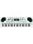 SD-6111A Org 1