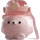  Renk Pembe