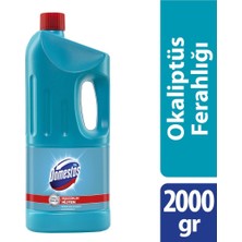 Domestos Okaliptüs Ferahlığı 2000 ml