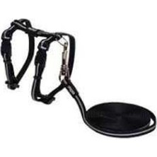 Rogz Yavru Kedi Göğüs Tasması Seti Reflektorlü Siyah Xsmall 8 Mm 19,8-30 Cm