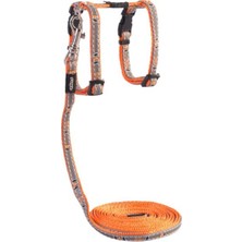 Rogz Yavru Kedi Göğüs Tasması Seti Reflektorlü Turuncu Xsmall 8 Mm 19,8-30 Cm