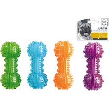 M-Pets Köpek Şeffaf Ödül Haz. Kem.Oyn.15*6 Cm Yeş.Mav.Mor