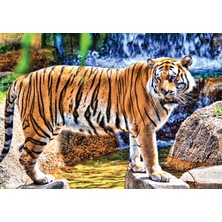 KS Games Animal Planet | Amazing Tiger