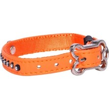 Rogz Köpek Boyun Tasması Taşlı Turuncu Xsmall 11 Mm 17-23 Cm