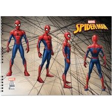 Spider 25*35 15 Yp.Resim Defteri