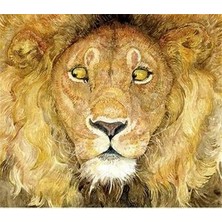 The Lion And The Mouse - Jerry Pinkney