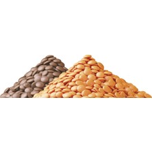 Callebaut Portakallı Damla Çikolata (2.5 kg)