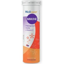 Wellcare Immune 15 Efervesan Tablet