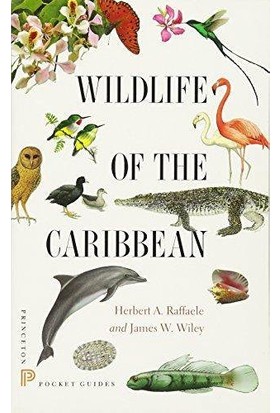 Wildlife Of The Caribbian - Herbert Raffaele