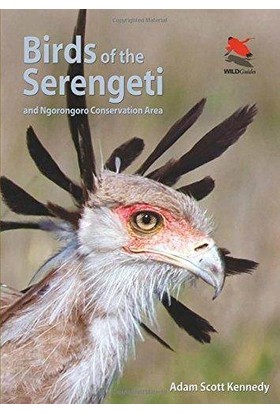 Birds Of The Serengeti And Ngorongoro Conservation Area - Adam Scott Kennedy