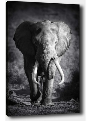 Tablo Center Dekoratif Kanvas Tablo 30 x 40 cm