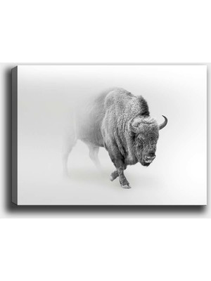 Tablo Center Dekoratif Kanvas  Tablo 30 x 40 cm