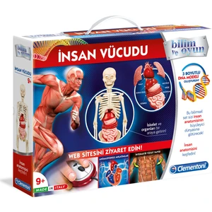 Deney Seti - İnsan Vücudu