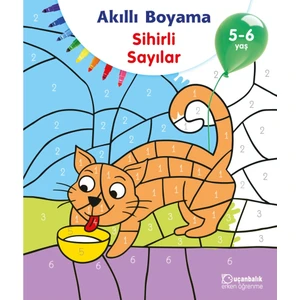 5-6 Yaş Sihirli Sayılar Uçanbalık Yayıncılık