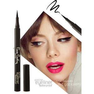 Pierre Cardin Eyeliner Precise Suya Dayanıklı Keçe Uçlu Siyah Eyeliner