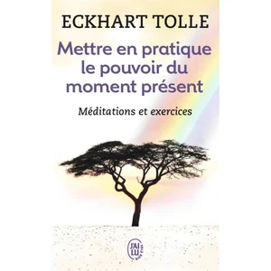 Mettre en pratique le pouvoir du moment present - Eckhart Tolle