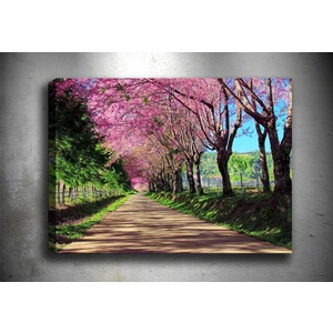 Tablo Center Manzara Kanvas  Tablo 30 x 40 cm
