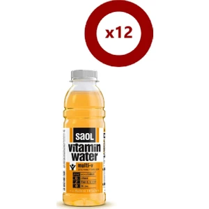 Saol Multi V Vitaminli Su 12 x 500 ml