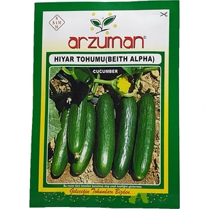 Hıyar Tohumu Beith Alpha 10 g