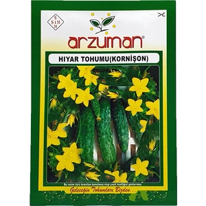 Hıyar Tohumu Kornişon 100'lü