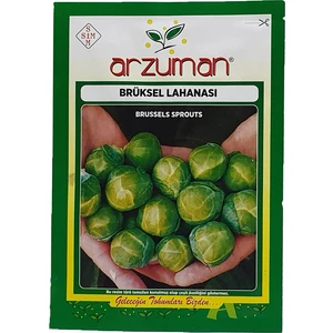 Brüksel Lahanası 200'lü