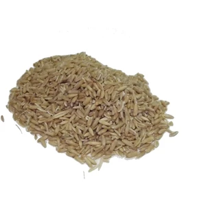 Kuş Yemi Kabuklu Yulaf 1 kg