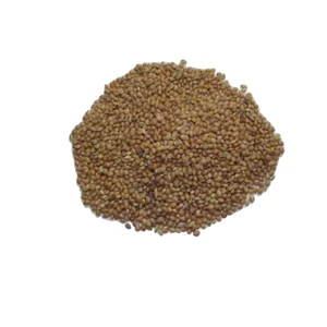 Vi̇vi̇d Sarı Darı Tozsuz Muhabbet Kuşu Yemi̇ 1 kg