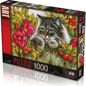 KS Games Rose Hedge