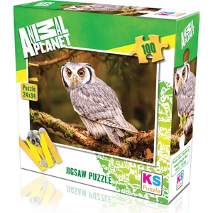KS Games Animal Planet |  Bengal Eagle Owl